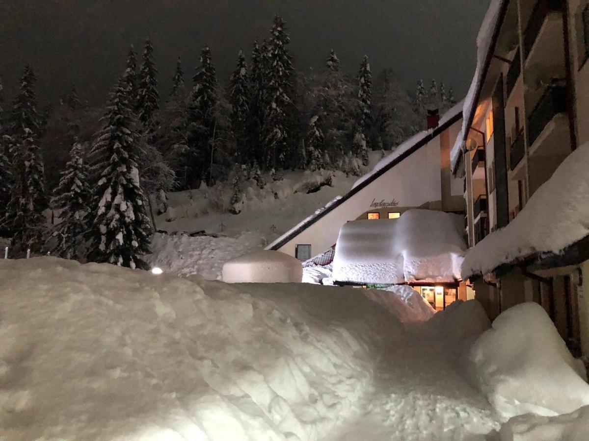 Deluxe Apartments Pamporovo Kültér fotó